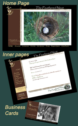 Website Design Example for Photographer located in Jonesborough - TriCities, Tennessee